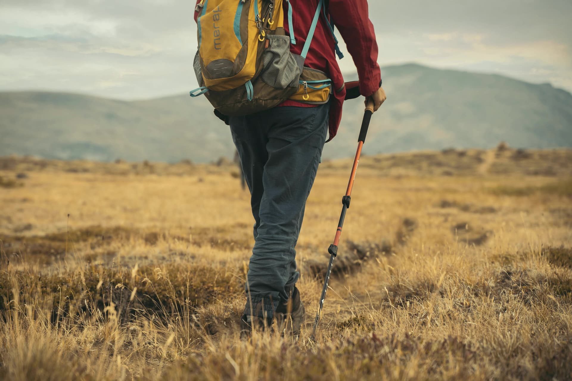 A hiker with poles walking through a golden field toward the hills.